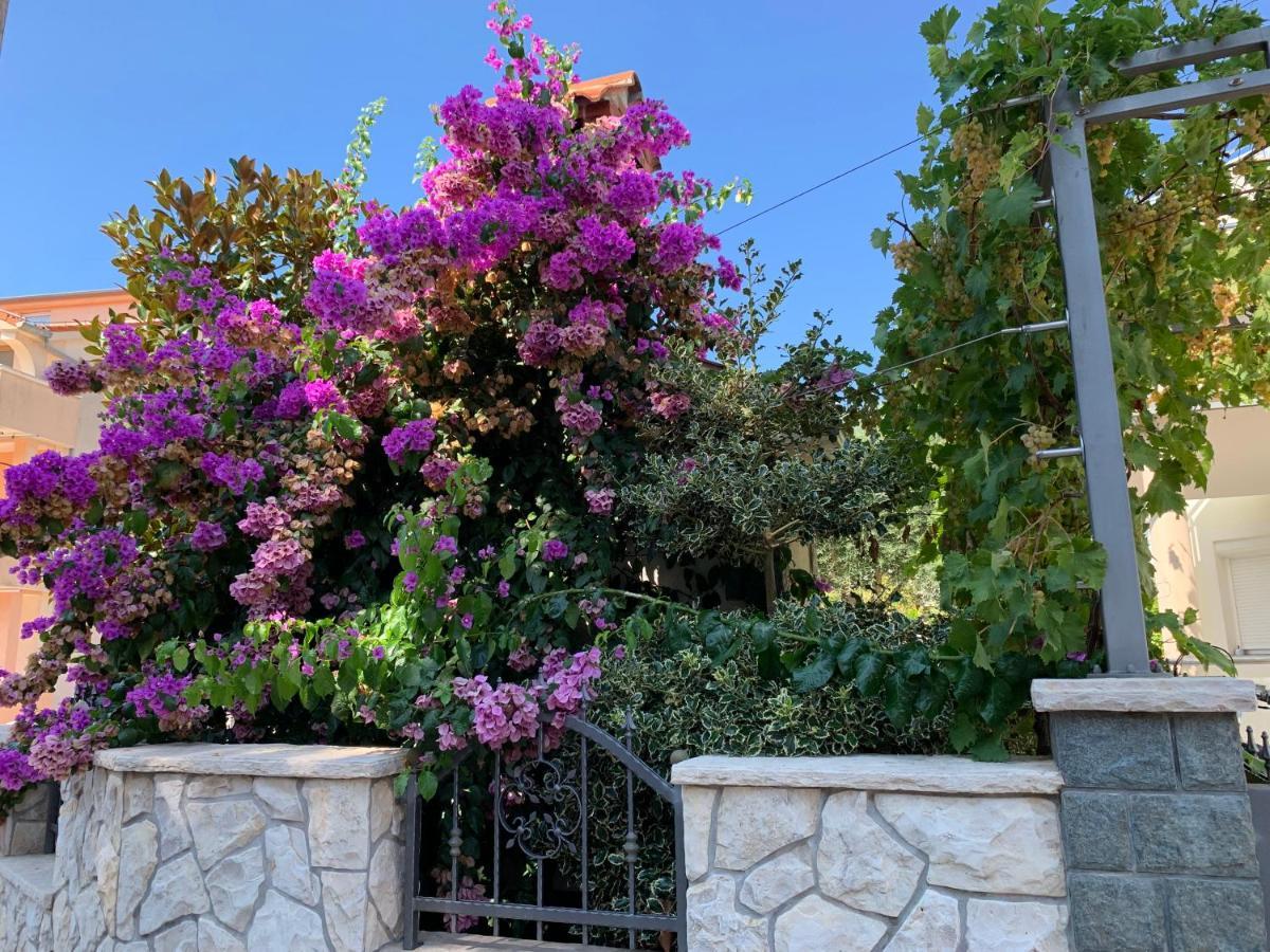 Apartments Dumancic Biograd Na Moru Exteriör bild